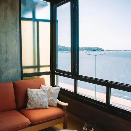 Just Like - Ape Do Rio *